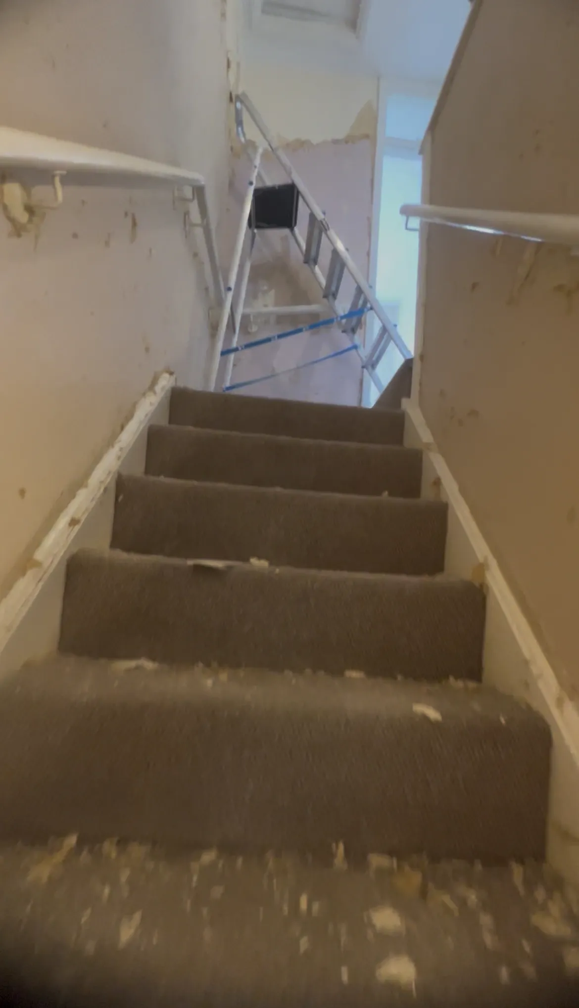 Before decorating project 23